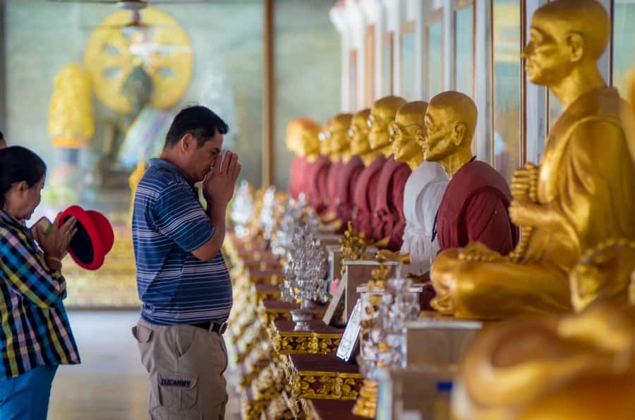 Chiang Mai Countryside E-bike Ride with Expert Guide & Lunch - A final stop at Royal Park Rajapruek