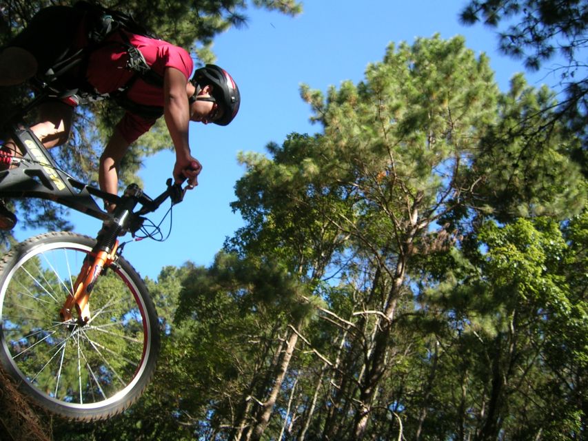 Chiang Mai: Doi Suthep National Park Leisure Hiking & Biking - The downhill ride is fun, but know the road