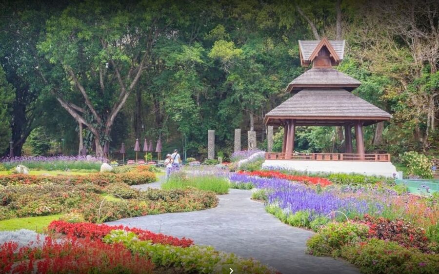 Chiang Mai: Doi Suthep National Park Leisure Hiking & Biking - Wat Pha Lat is the quieter temple reward