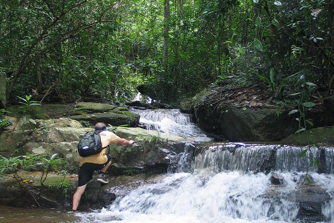 Chiang mai Hike & Downhill Bike Adventure –Suthep National Park - A full day in Doi Suthep National Park