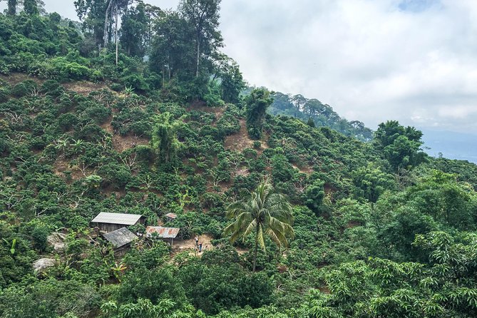 Chiang mai Hike & Downhill Bike Adventure –Suthep National Park - The final stop at Huai Tueng Thao