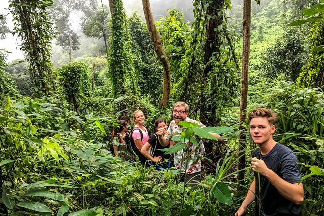 Chiang mai Hike & Downhill Bike Adventure –Suthep National Park - Weather, substitutions, and safety