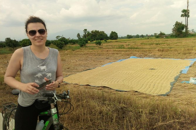 Chiang Mai Paradise Full-Day Cycling Adventure Tour - Rice paddies, orchards, and Thai farm life