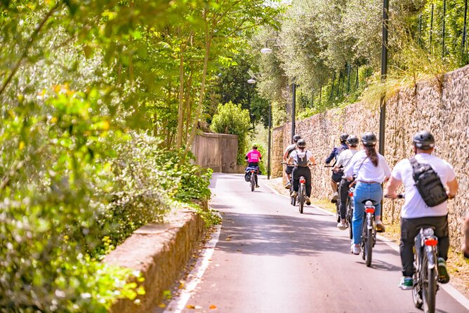 Chianti Hills E-Bike Tour with Tuscan Lunch & Two Wine Tastings - Who should book this ride?