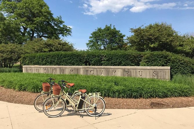 Chicago Lakefront Electric Bike Tour - Meeting Sue at the Field Museum