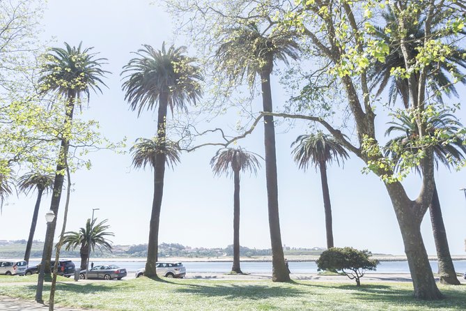 City Bike Rental in Porto - What families need to know