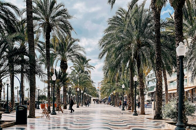 City Bike Tour in Alicante - Key points to know before booking