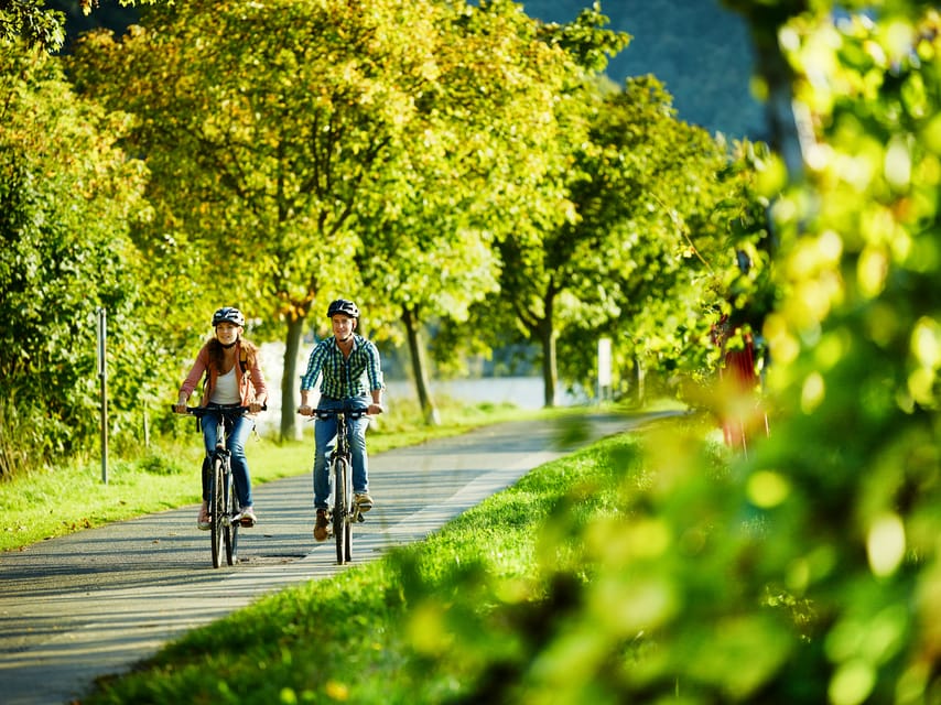Cochem: Bike and Boat Tour with Picnic and Wine Tasting - What the Moselle ride gives you