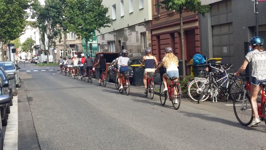 Cologne: 3-Hour Guided Bike Tour - Cathedral, Museum Ludwig, and the center