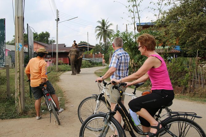 Colors of Ayutthaya Full-Day Bike Tour - The Historic City of Ayutthaya by bicycle