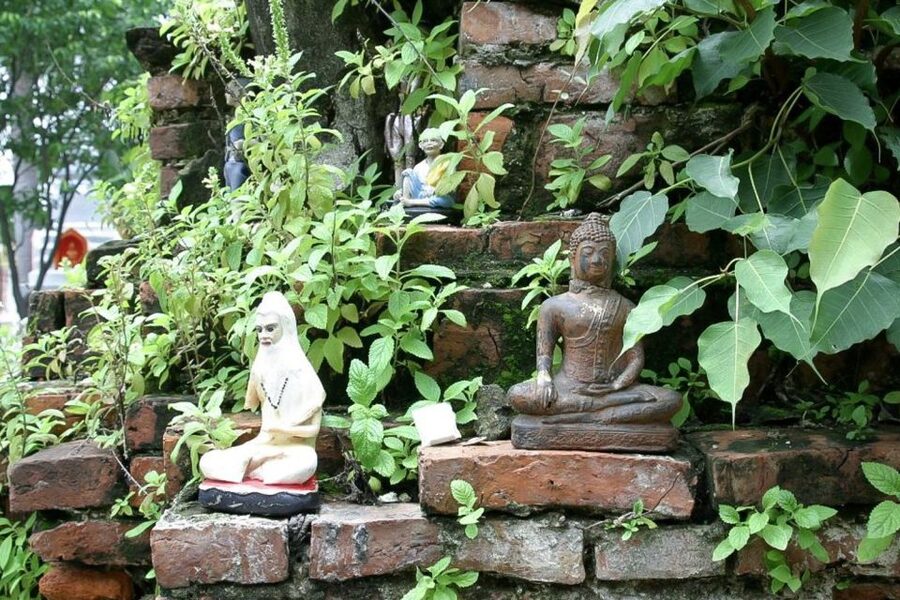 Colors Of Bangkok: 4-Hour Small Group Bike Tour - Entering the green lung at the 80th Anniversary Celebration Garden
