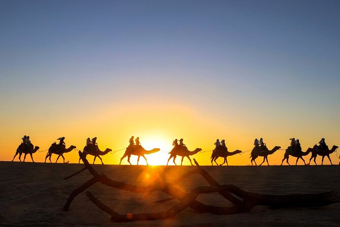 Combo Horseback Ride and Sky Bike in Cabo - Two Cabo activities in one compact outing