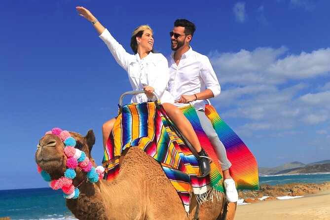Combo Horseback Ride and Sky Bike in Cabo - What the $125 price really covers
