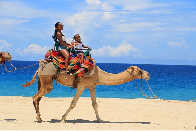 Combo Horseback Ride and Sky Bike in Cabo - Who will enjoy this most