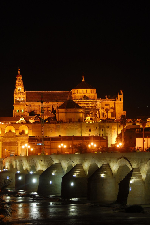 Cordoba at Night by Bike, Electric Bike - Key points to know before booking