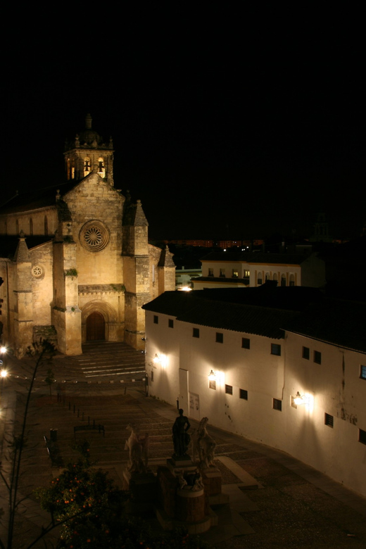 Cordoba at Night by Bike, Electric Bike - Meeting at Calle Maria Cristina 5