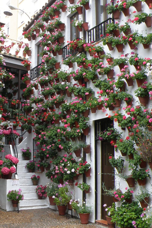 Cordoba Courtyards by Bike, Electric Bike - Key points at a glance