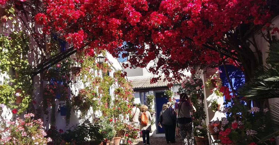 Cordoba Courtyards by Bike, Electric Bike - Riding through Cordoba’s historic streets