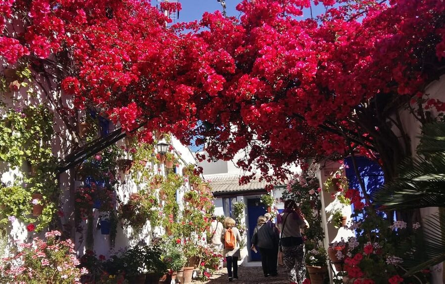 Cordoba Courtyards by Bike, Electric Bike - Four courtyards, four different impressions