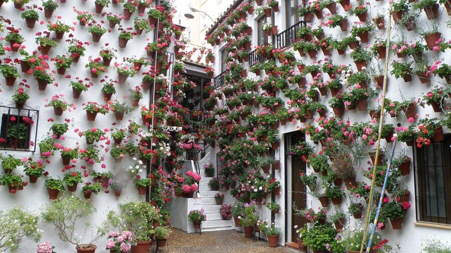 Cordoba Courtyards by Bike, Electric Bike - The guide makes the short itinerary work