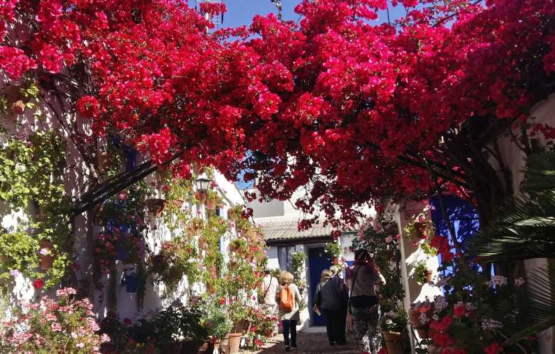 Cordoba Courtyards by Bike, Electric Bike - Choosing between a regular bike and an electric bike
