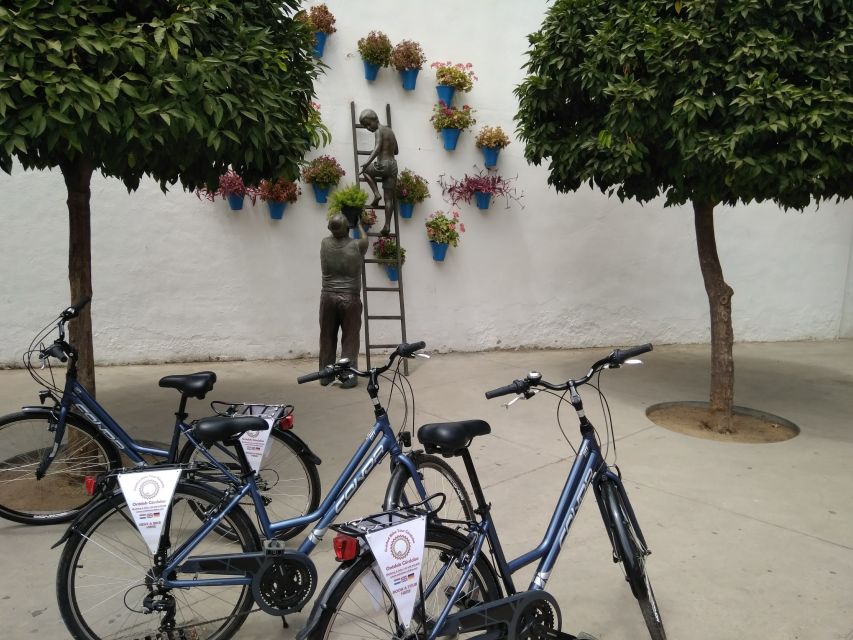 Córdoba Daily Highlights Bike Tour - Price, timing, and weather