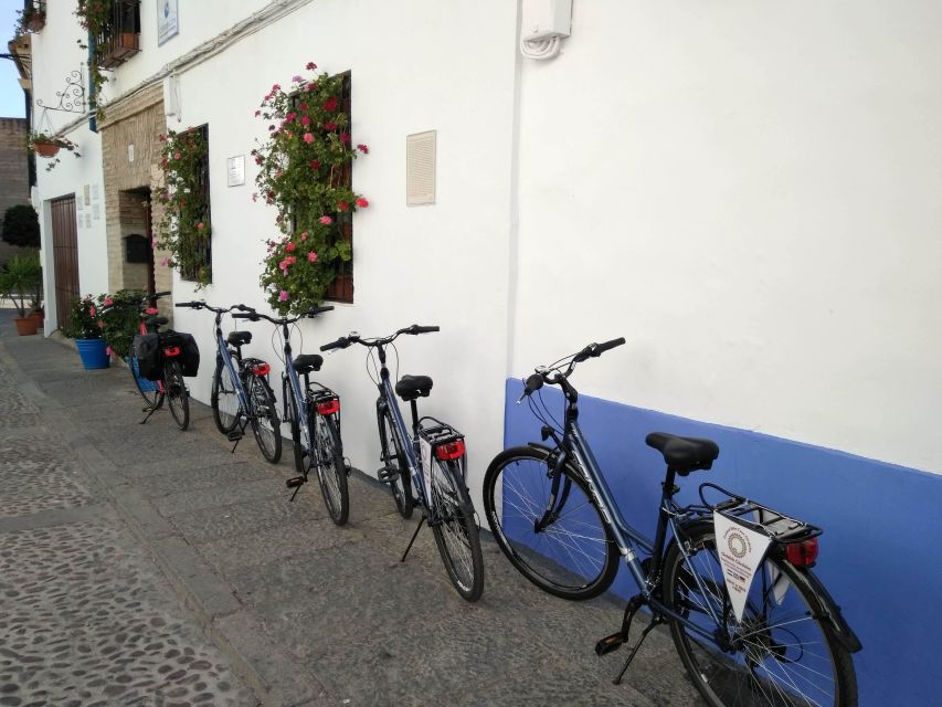 Córdoba Daily Highlights Bike Tour - The Roman Bridge and Calahorra Tower