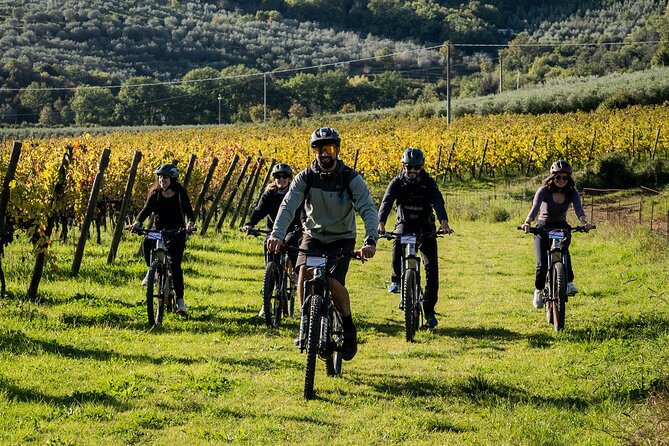 Cortona - eBike tour and wine tasting in the Val di Chiana [+40€] - The guides add more than directions