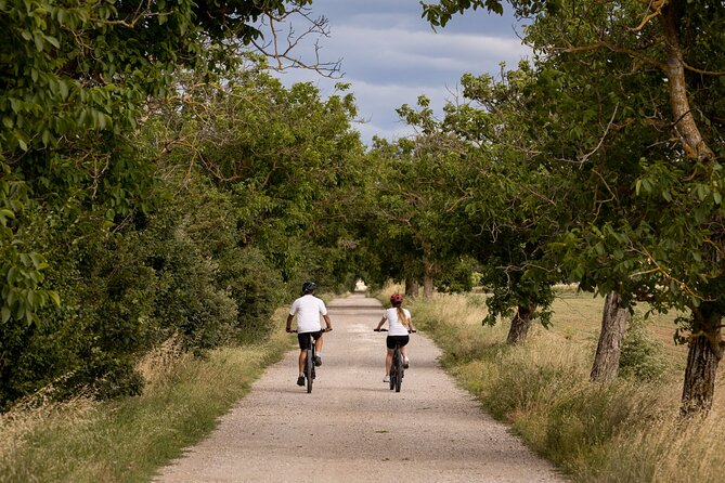 Cortona - eBike tour and wine tasting in the Val di Chiana [+40€] - Wine tasting and lunch at the winery