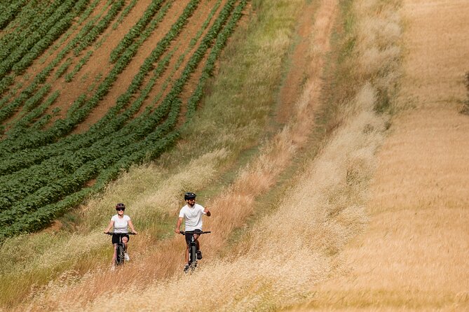 Cortona - eBike tour and wine tasting in the Val di Chiana [+40€] - Who will enjoy this ride most