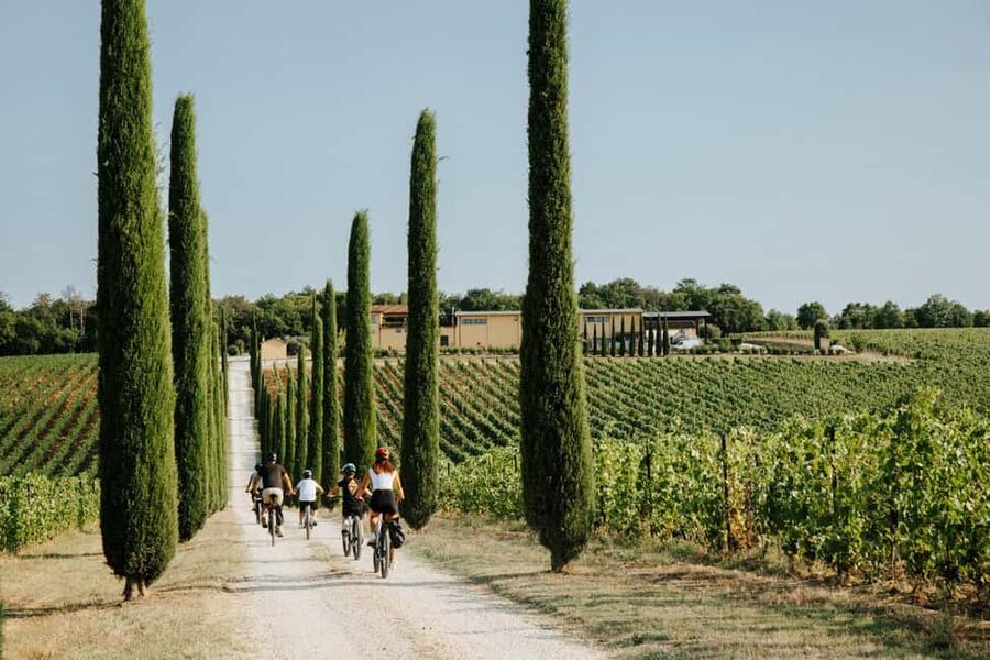Cortona: Val di Chiana E-Bike Tour with Optional Wine Lunch - Group size, timing, and departure rules