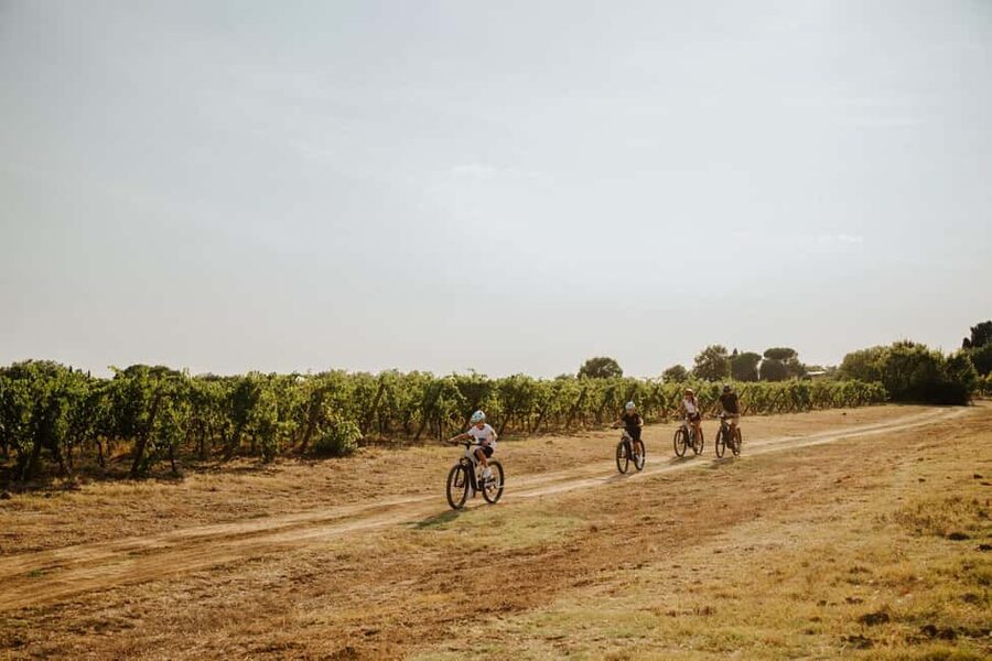 Cortona: Val di Chiana E-Bike Tour with Optional Wine Lunch - Booking tips that can save trouble