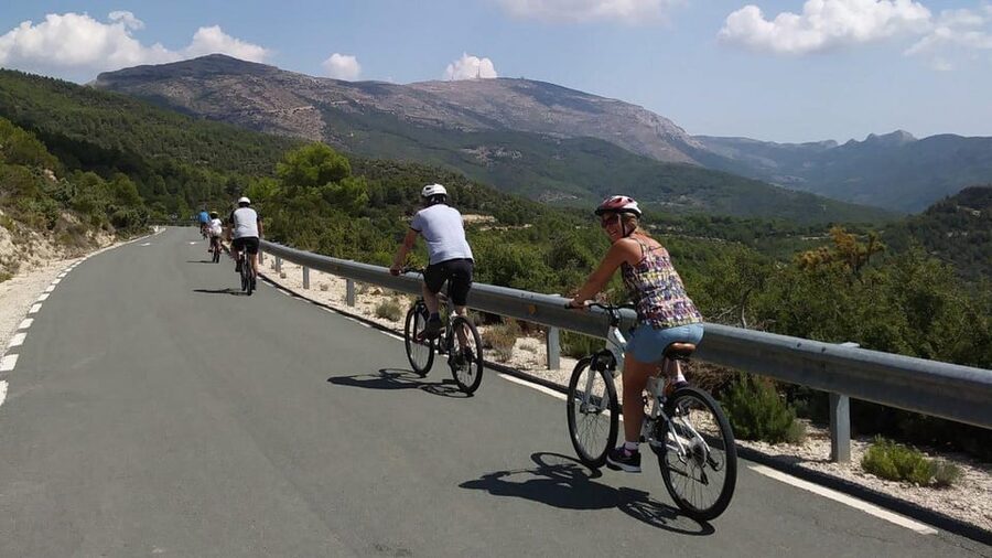 Costa Blanca Downhill Bike Ride - The Celebration Stop and Return Transfer