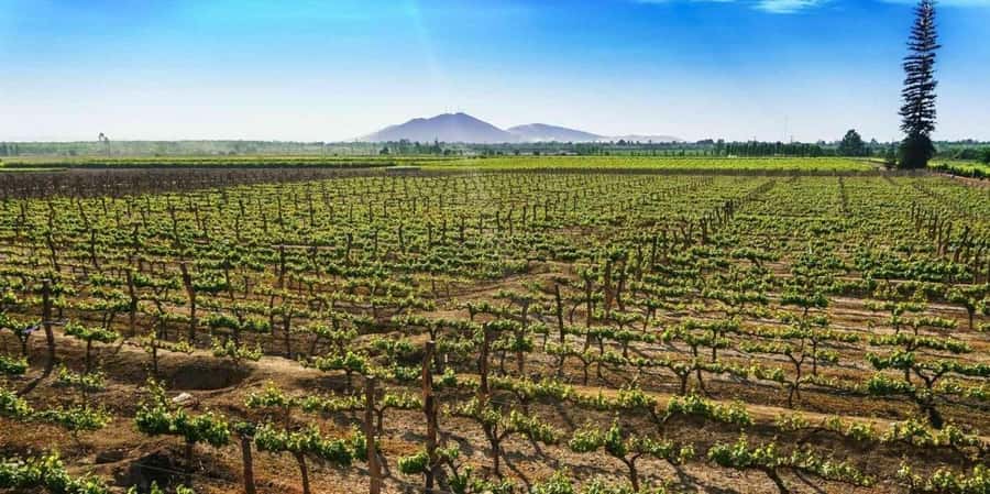 Costa Calma: Coast2Coast E-Bike Adventure - Returning Through Dunes and Volcanic Ground
