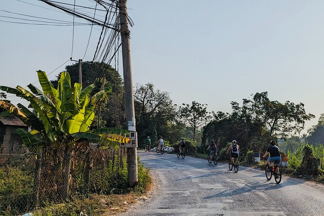 Customs and Culture Half Day Walk and Bike Tour in Battambang - Rice fields, local food, and the work behind the scenery