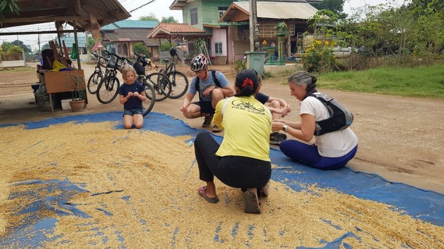 Cycling Sukhothai Full Day Countryside Tour - Lunch, refreshments, and the value of the $38 price