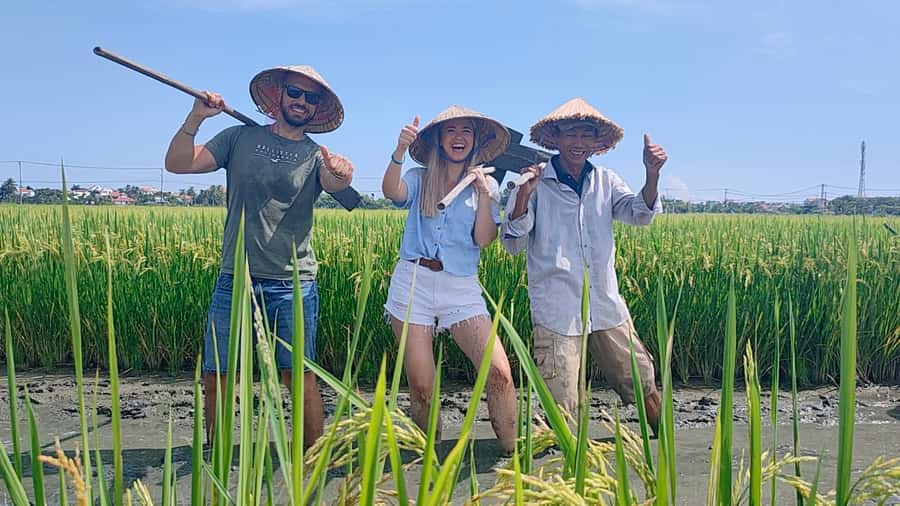 Cycling, Water Buffalo Riding, Traditional Farming Life - Cam Thanh and Its Wartime Past