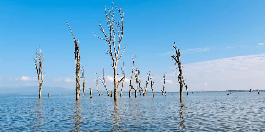 Day Trip: Hell's Gate Bike Ride & Lake Naivasha Boat Ride - Should You Book the Hell’s Gate and Naivasha Day Trip?