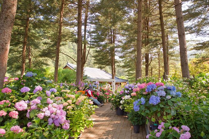 Day Trip to Nami Island with Rail bike and The Garden of Morning Calm - Guides, group size, and the pace of the day