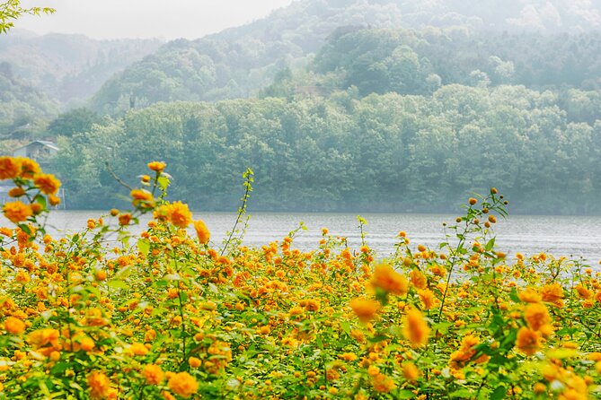 Day Trip to Nami Island with Rail bike and The Garden of Morning Calm - What to bring for a long outdoor day