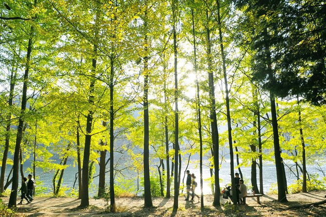 Day Trip to Nami Island with Rail bike and The Garden of Morning Calm - Who will get the most from this tour