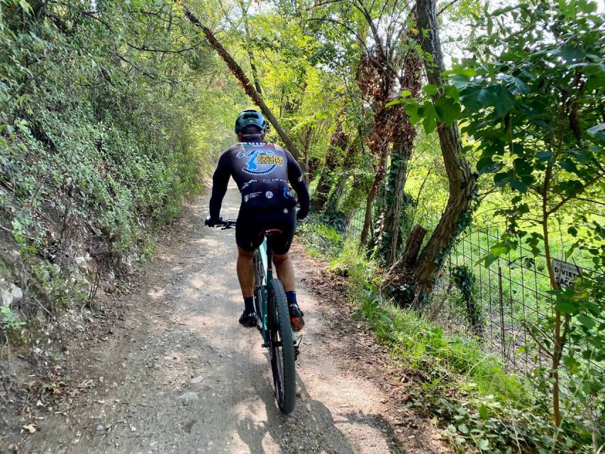 Desenzano: e-Bike Tour with Wine Tasting - Vineyards, olive trees, and open views