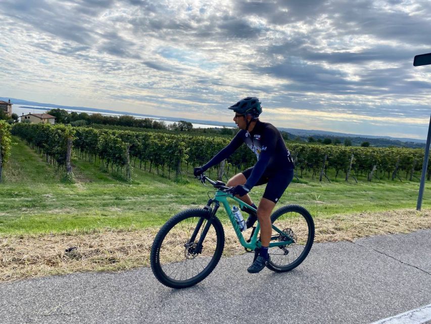 Desenzano: e-Bike Tour with Wine Tasting - A thoughtful stop at Torre di San Martino