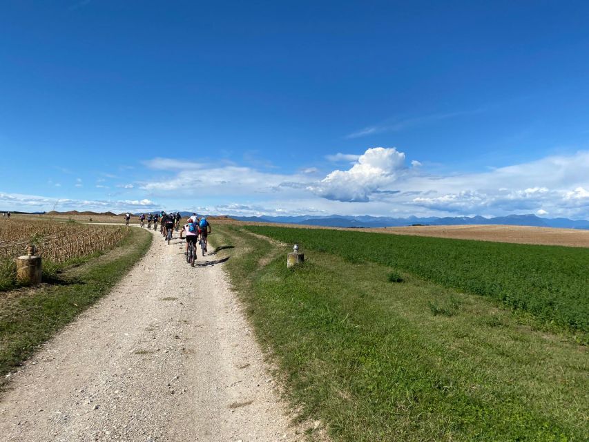Desenzano: e-Bike Tour with Wine Tasting - Who will enjoy this ride most?