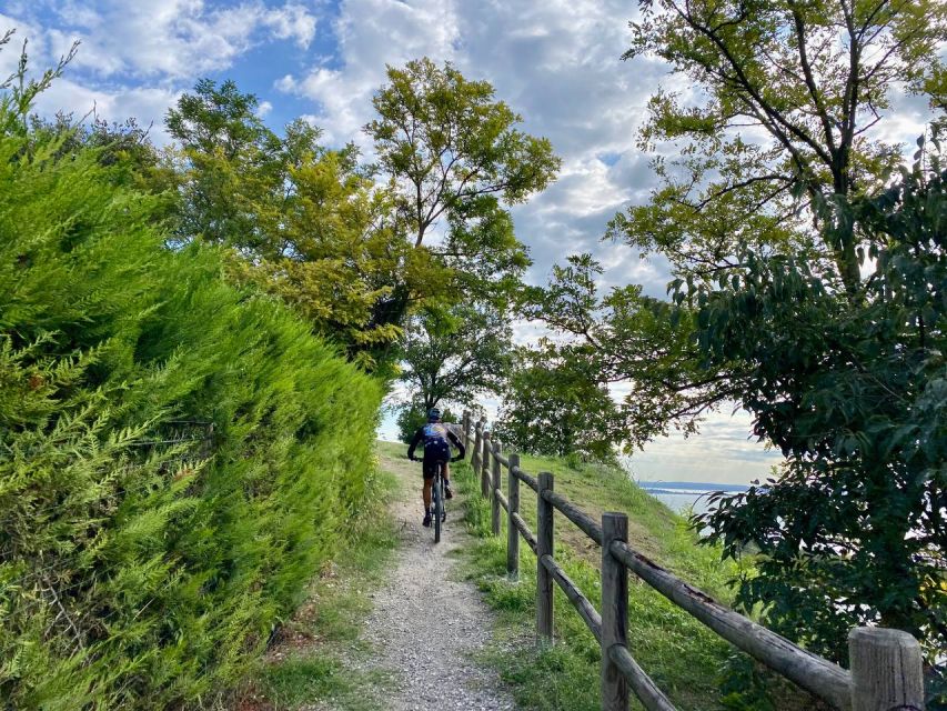 Desenzano: e-Bike Tour with Wine Tasting - What the strongest praise tells you
