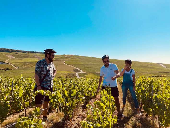 Dijon/Beaune: Full day Ebike Burgundy tour, tastings & lunch - Key points to know before booking