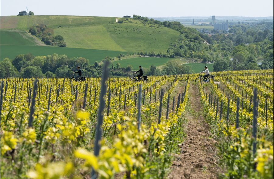 Dijon/Beaune: Full day Ebike Burgundy tour, tastings & lunch - Meursault and the first vineyard miles