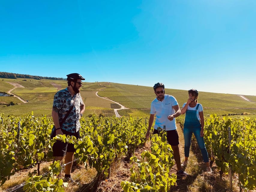 Dijon/Beaune: Full day Ebike Burgundy tour, tastings & lunch - Montrachet and the meaning of Grand Cru