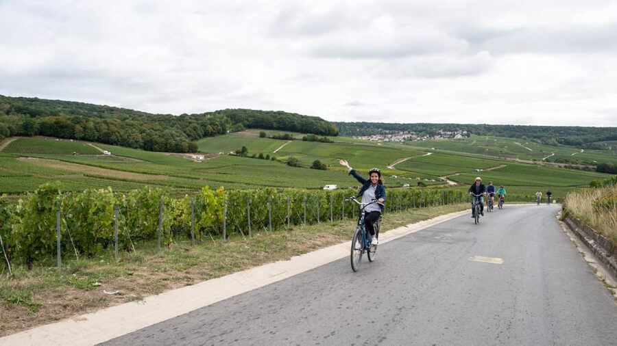 Dijon/Beaune: Full day Ebike Burgundy tour, tastings & lunch - The winery tasting after the ride