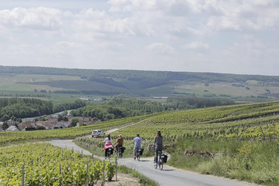 Dijon/Beaune: Full day Ebike Burgundy tour, tastings & lunch - Should you book this Burgundy tour?